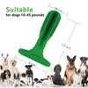 Dog Rubber Toy