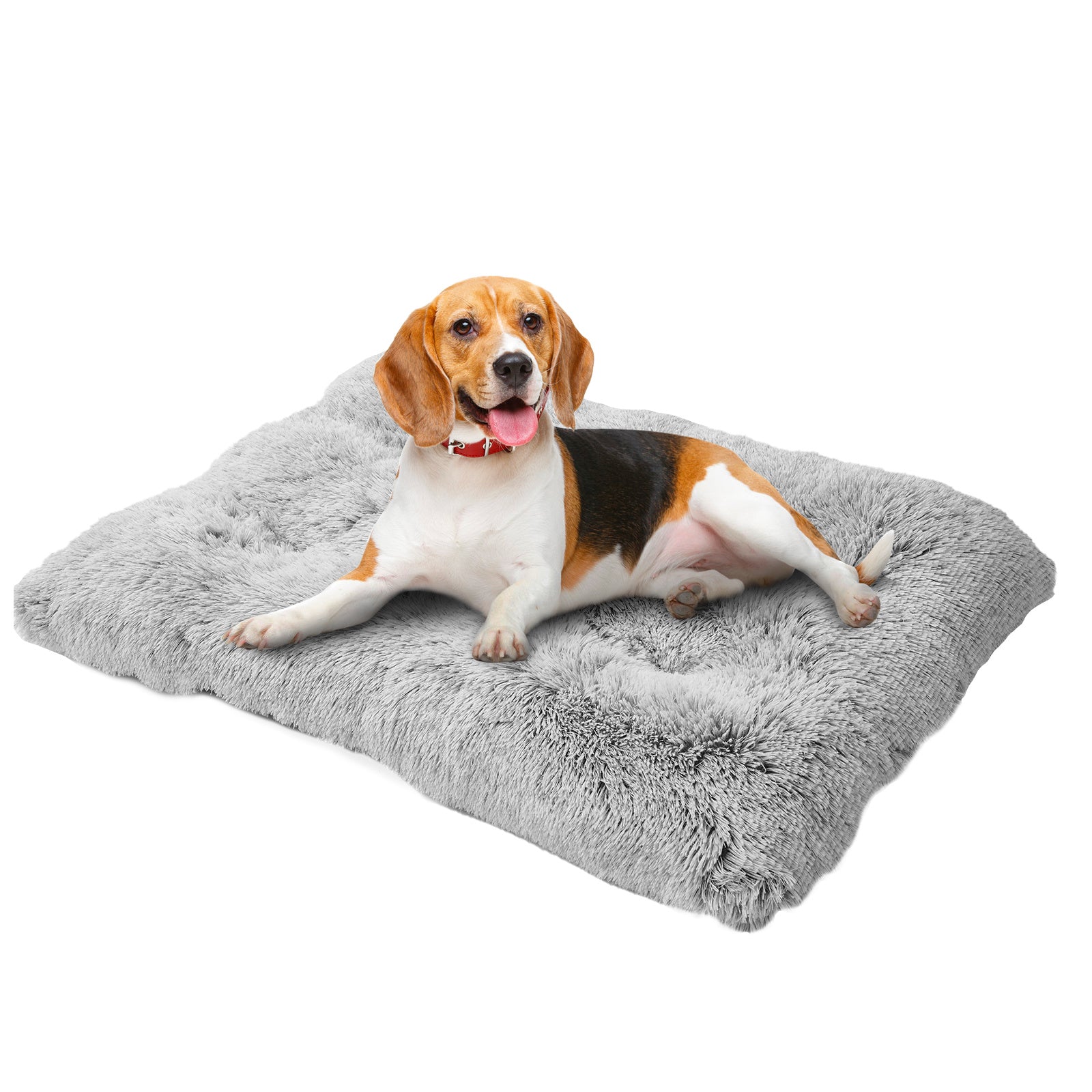 Cozy Dog Bed