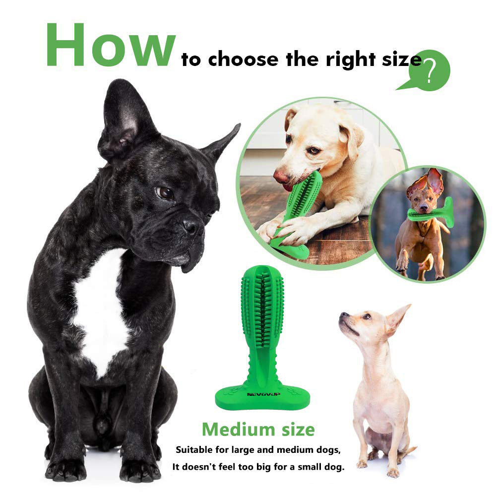 Dog Rubber Toy