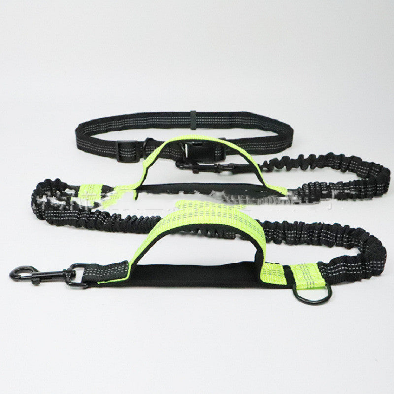 Adjustable Nylon Dog Leash