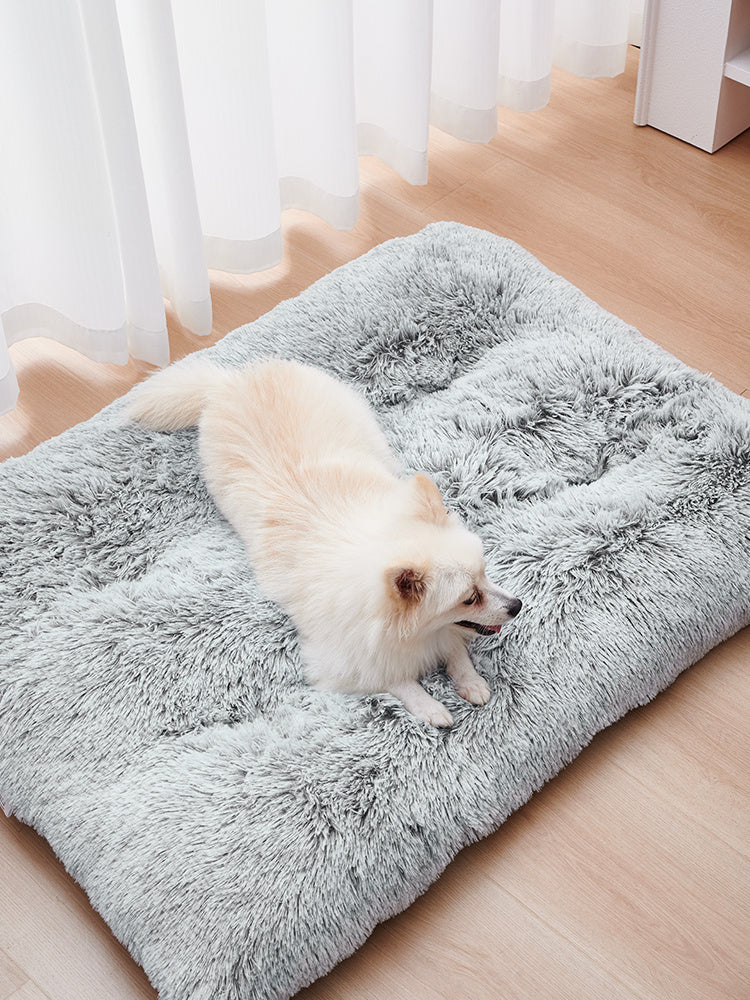 Cozy Dog Bed