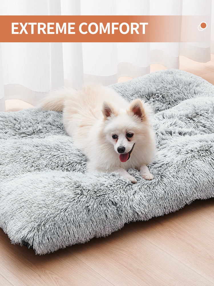 Cozy Dog Bed