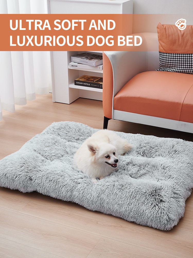 Cozy Dog Bed