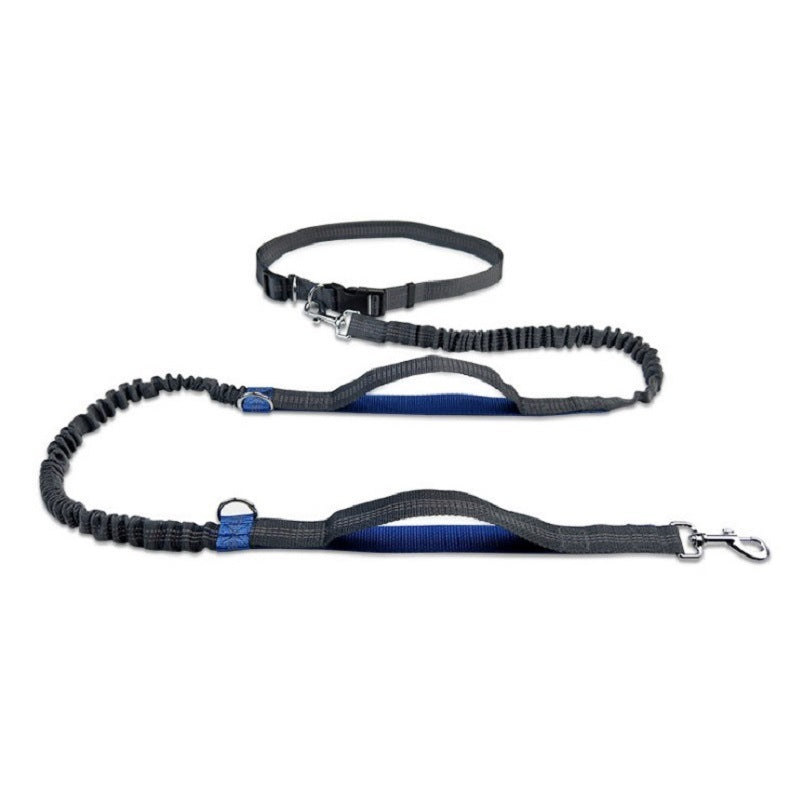 Adjustable Nylon Dog Leash