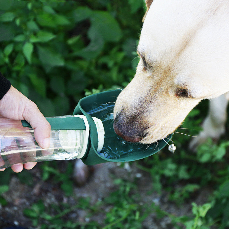 Pet Food & Drinking Bowl Water Bottle